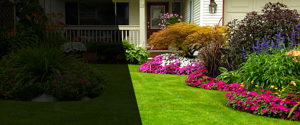 Ellenboro Landscapers