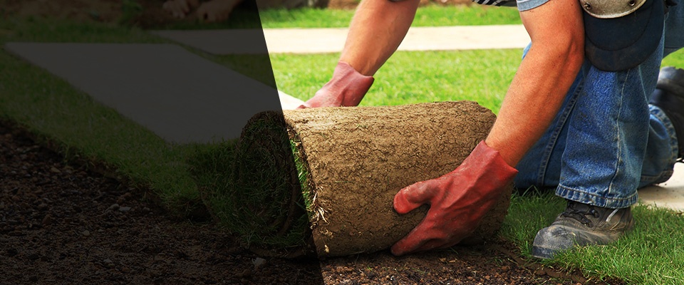 Ellenboro Landscapers